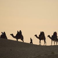 The Great Indian Thar Desert