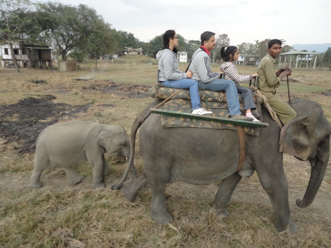 Babu accompanying us on safari...